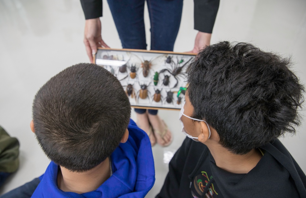 Let's Talk Bugs | Sailors with 3rd Marine Logistics Group volunteer at AmerAsian School