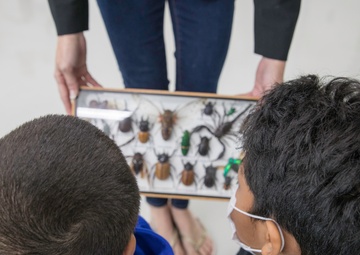 Let's Talk Bugs | Sailors with 3rd Marine Logistics Group volunteer at AmerAsian School