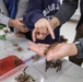 Let's Talk Bugs | Sailors with 3rd Marine Logistics Group volunteer at AmeriAsian School
