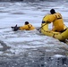 Fort Drum firefighters rescue trapped deer in Black River