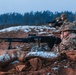 British Soldiers complete section live fire training during eFP