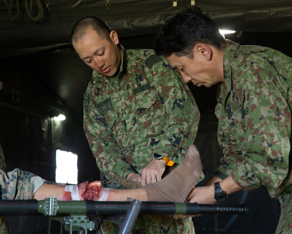Iron Fist 2020: Medical Casualty Evacuation Interoperability Training