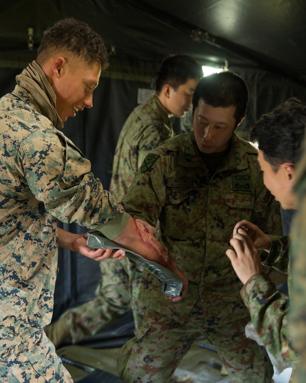 Iron Fist 2020: Medical Casualty Evacuation Interoperability Training