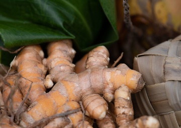 Makahiki Festival 2020