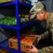 Public Health maintains Airmen medical readiness