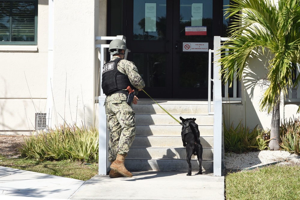 Exercise Citadel Shield-Solid Curtain 2020