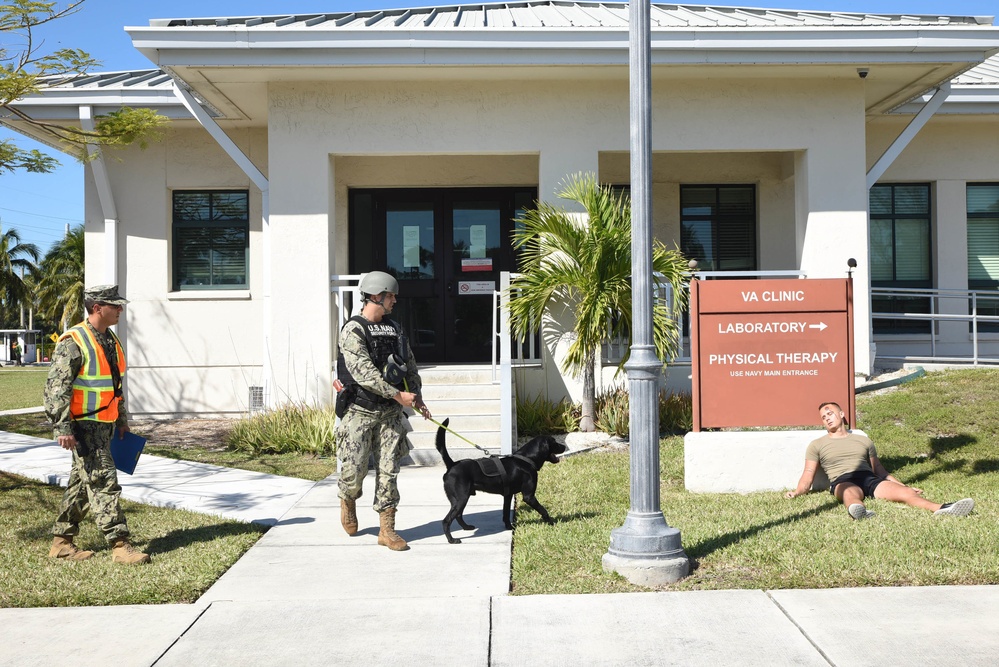 Exercise Citadel Shield-Solid Curtain 2020