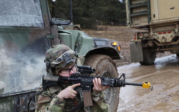 Females in Artillery