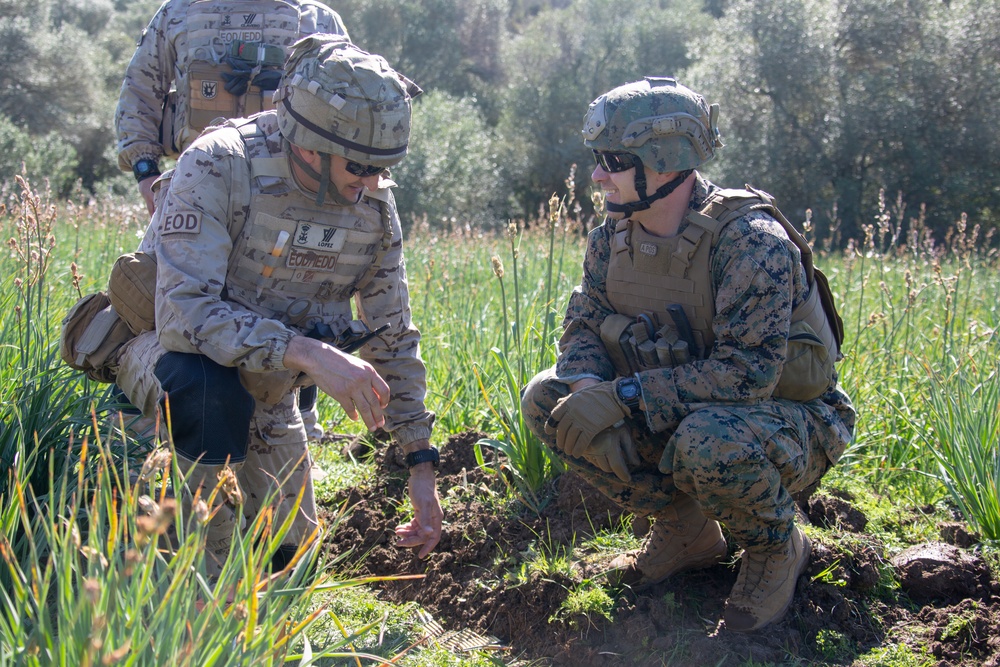SPMAGTF CR-AF20.1: Bilateral EOD Range