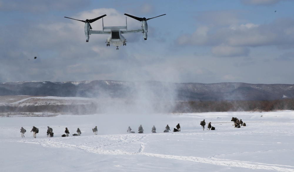 U.S. Marines and JGSDF Members Conduct Heliborne Insert for Northern Viper 2020