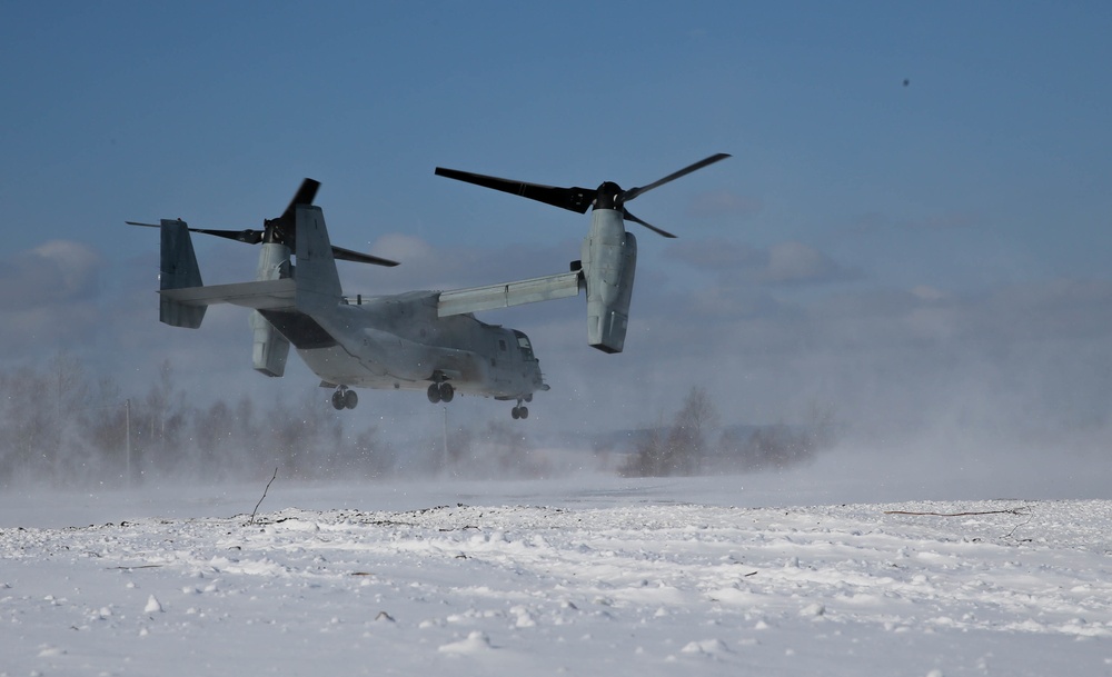 U.S. Marines and JGSDF Members Conduct Heliborne Insert for Northern Viper 2020