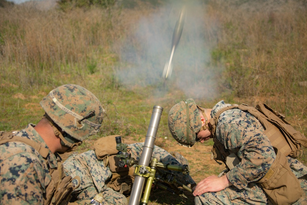 Iron Fist 2020: US Marines with 2/1 conduct live-fire range