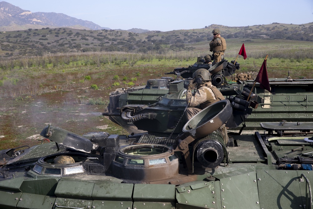 Iron Fist 2020: US Marines and JGSDF soldiers conduct AAV gunnery