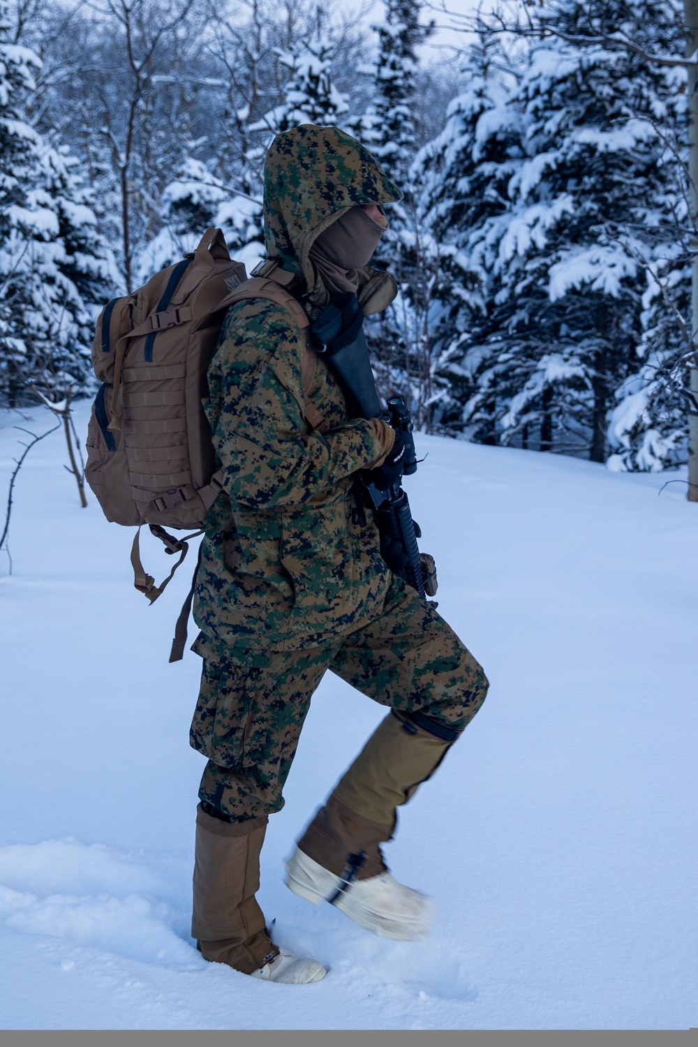 2nd LAAD Marines patrol during Arctic Edge 20