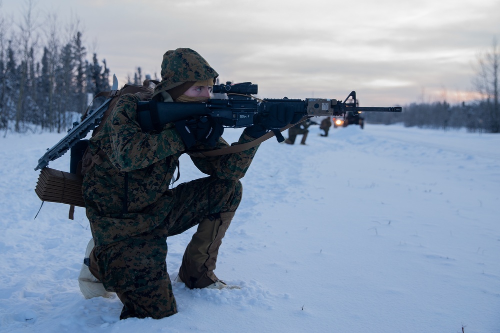 2nd LAAD Marines patrol during Arctic Edge 20