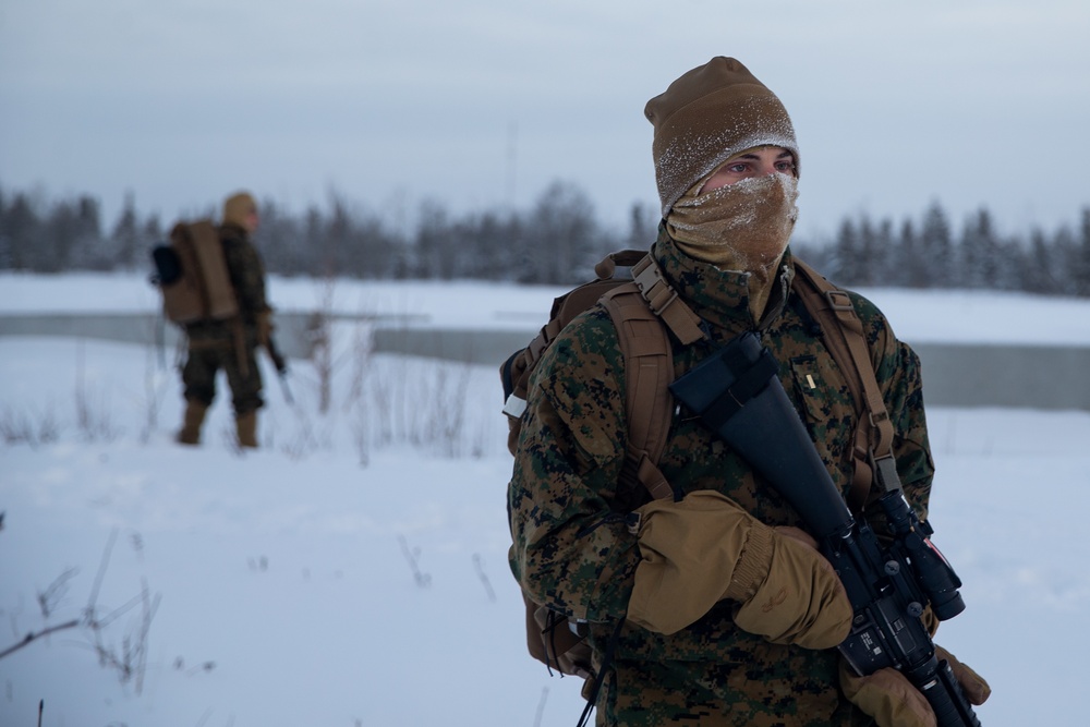 2nd LAAD Marines patrol during Arctic Edge 20