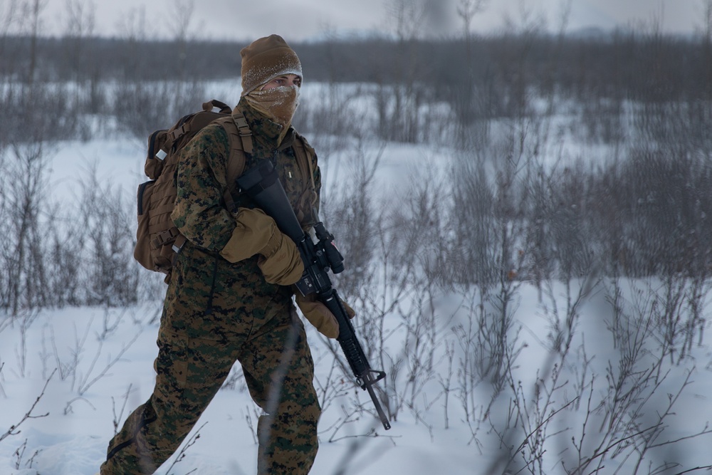 DVIDS - Images - 2nd LAAD Marines patrol during Arctic Edge 20 [Image 5 ...