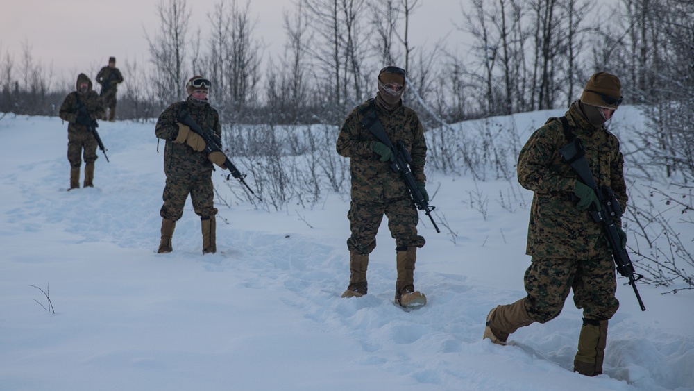 2nd LAAD Marines patrol during Arctic Edge 20