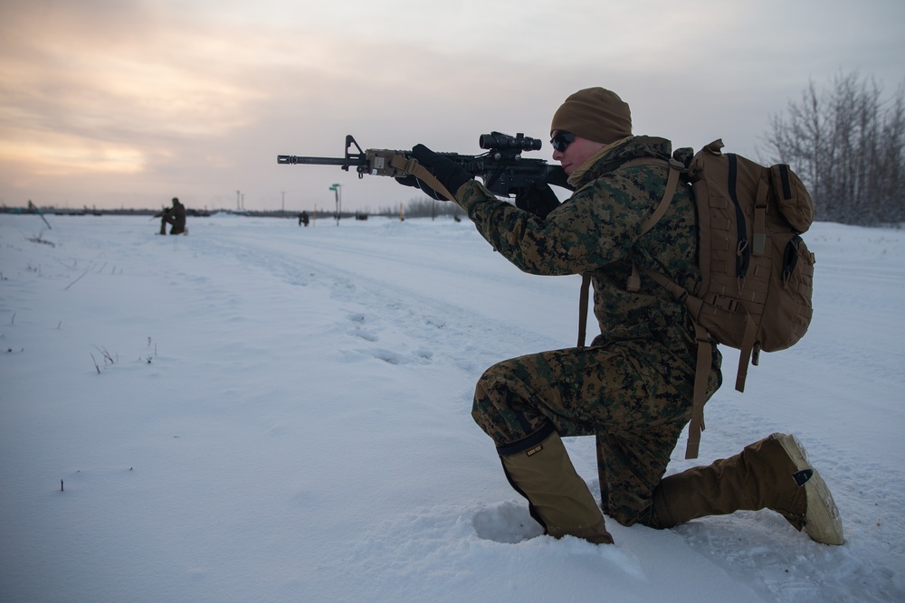 2nd LAAD Marines patrol during Arctic Edge 20