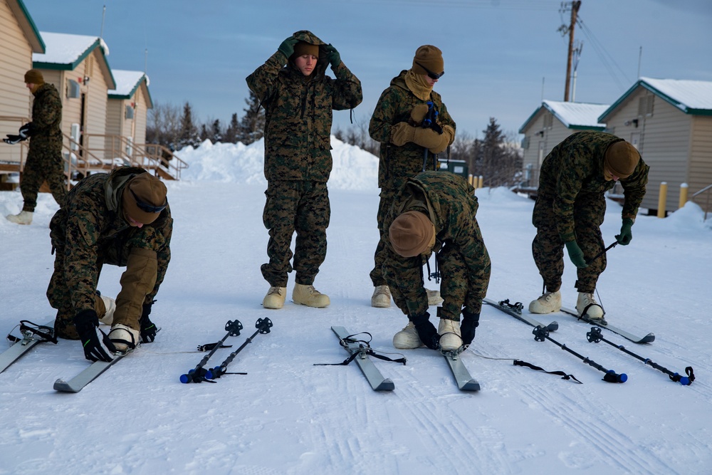 2nd LAAD Marines practice using ski equipment