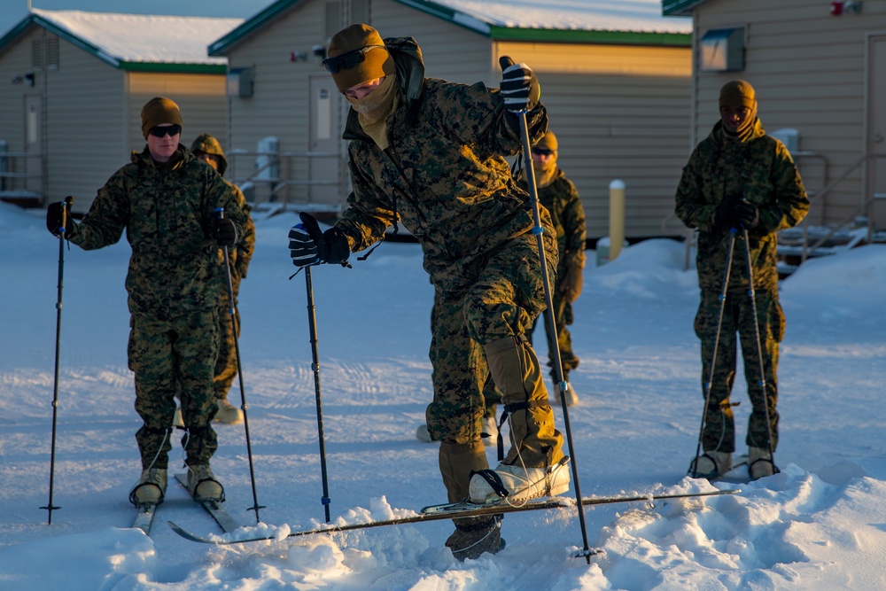 2nd LAAD Marines practice using ski equipment