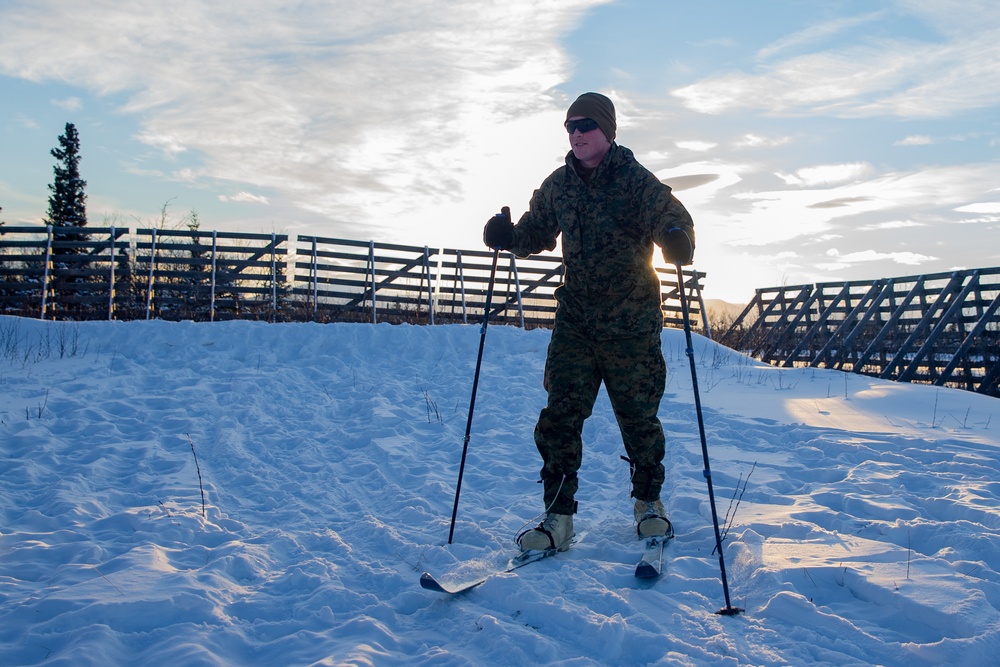 2nd LAAD Marines practice using ski equipment