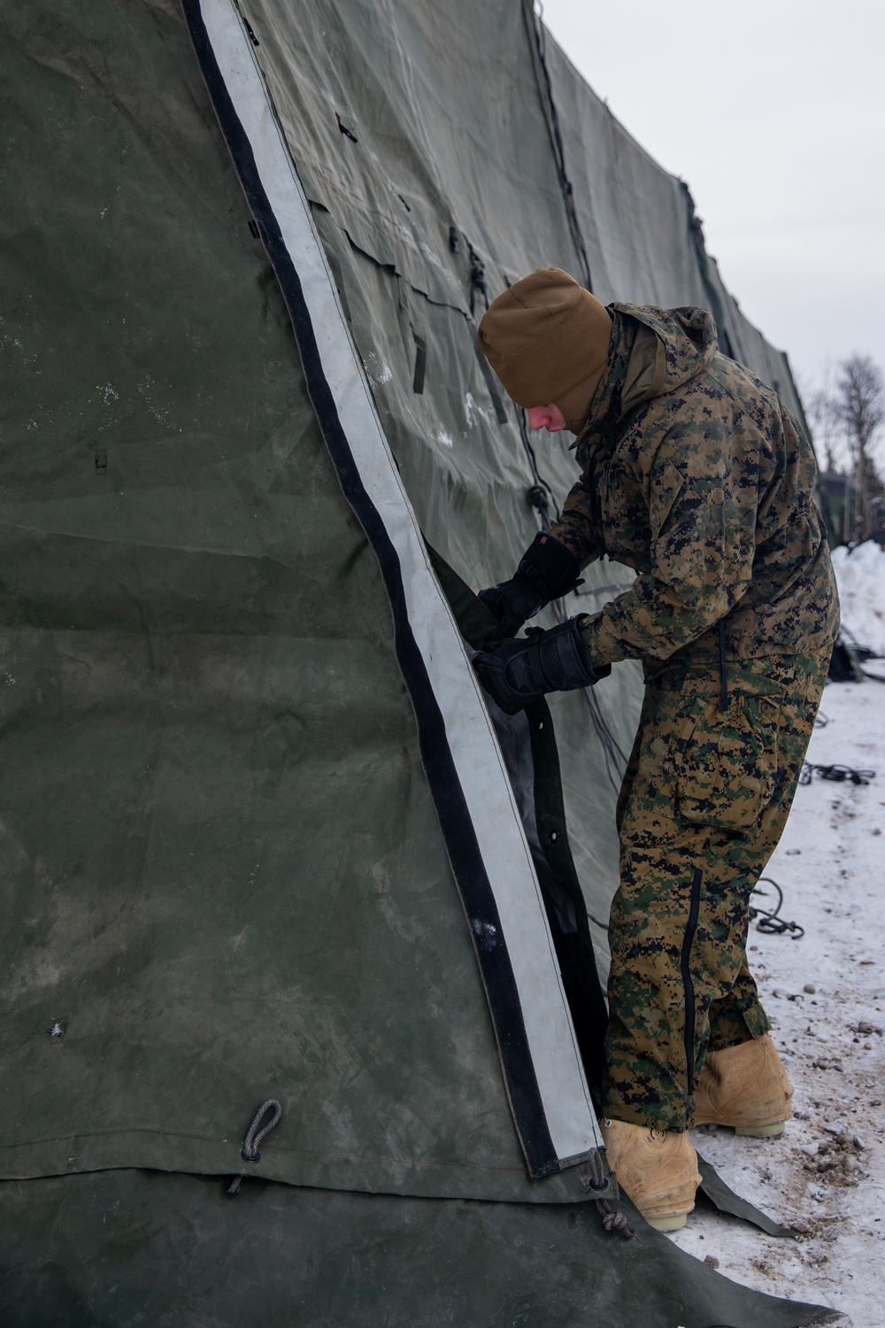 2nd LAAD Marines set up tents