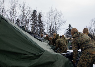 2nd LAAD Marines set up tents