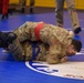 5-4 ADA Combatives Tournament, January 2020