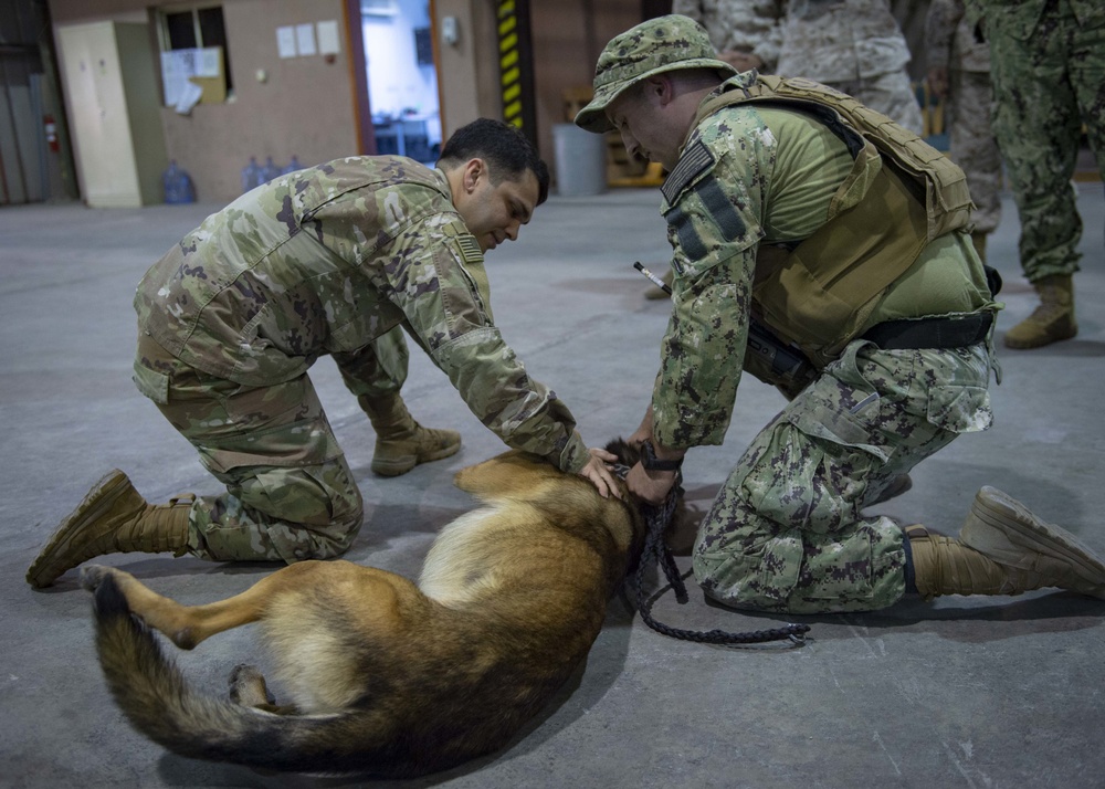 56.4 Completes K9 Tactical Combat Casualty Care Course