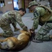 56.4 Completes K9 Tactical Combat Casualty Care Course