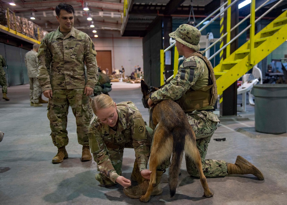 56.4 Completes K9 Tactical Combat Casualty Care Course