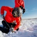 Coast Guard ASTs conduct survival training, Kodiak, Alaska