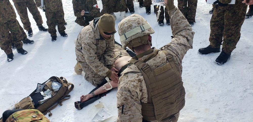 U.S Navy Corpsmen conduct Bilateral Medical Training with JGSDF at Northern Viper