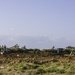 Tear Down to Build Up | U.S. Marines with 9th ESB conduct heavy equipment field exercise