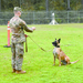 Dog handlers, man’s best friend develop special bond