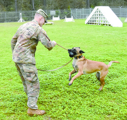 Dog handlers, man’s best friend develop special bond