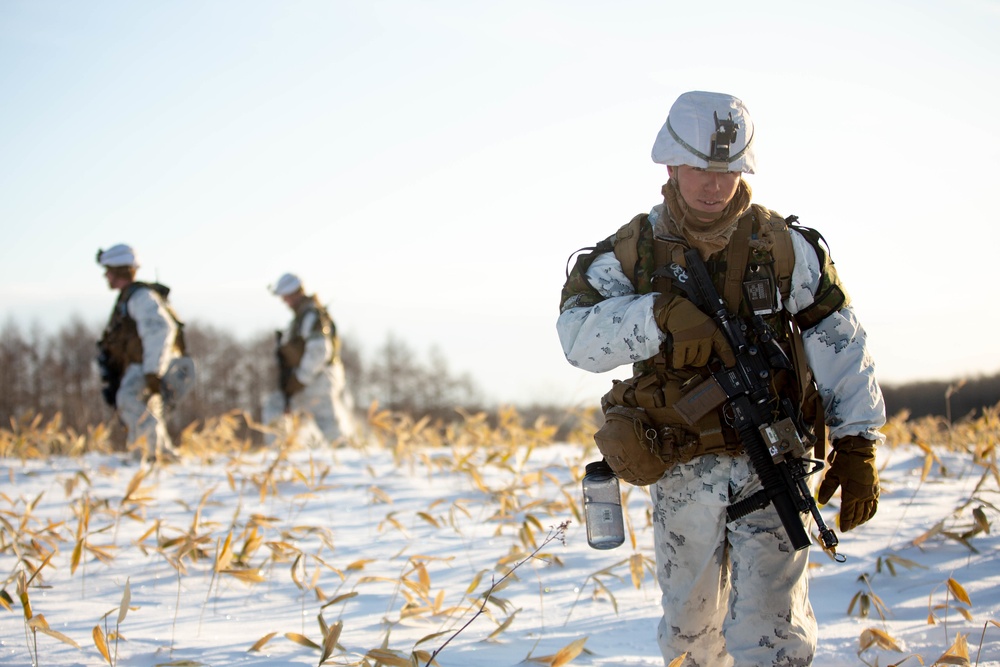 Force on Force Training Northern Viper 2020