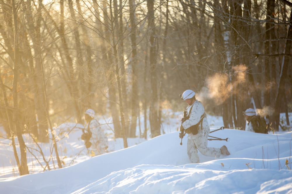 Force on Force Training Northern Viper 2020