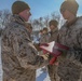 U.S. Marine Col. Perry Awards Marines and Sailor at Northern Viper 2020