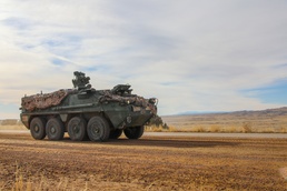 Master drivers conduct Stryker training