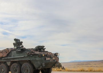Master drivers conduct Stryker training