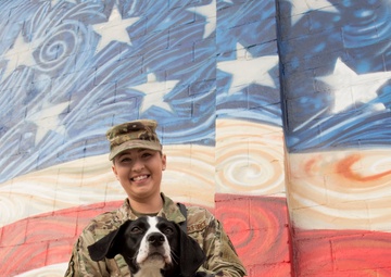 Rescue dogs help heal wounded warriors