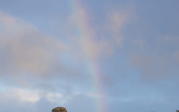 February 10, 2020 Disinterment