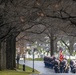 Military Funeral Honors with Funeral Escort Were Conducted for U.S. Marine Corps Pfc. Edward Nalazek in Section 60