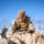 Wintry Logistics | U.S. Marines, Navy Sailors attached to the Logistics Combat Element participate in exercise Northern Viper
