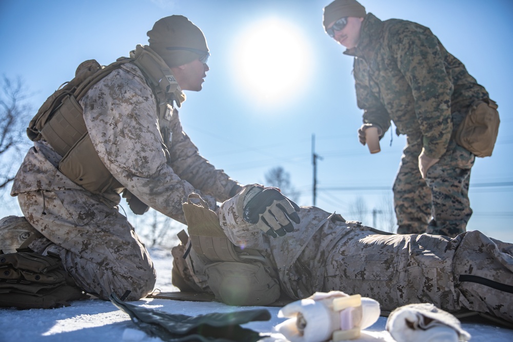Wintry Logistics | U.S. Marines, Navy Sailors attached to the Logistics Combat Element participate in exercise Northern Viper