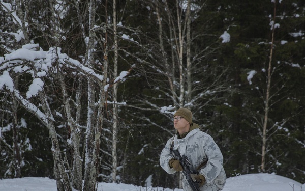 I'm up...They See Me...I'm Down