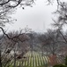 Rain at Arlington National Cemetery