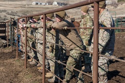 TACP Airmen wrangle, pack and ride during specialized training